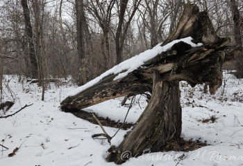 Ещё два афтершока зафиксировали на юге Казахстана