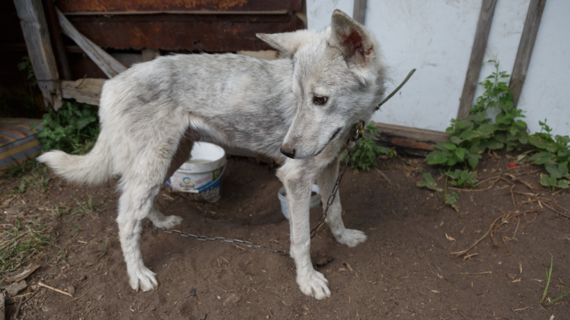  ©El.kz/Артем ЧУРСИНОВ 