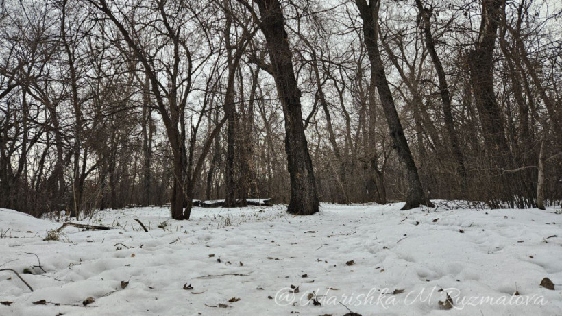  ©El.kz/Марина РУЗМАТОВА 