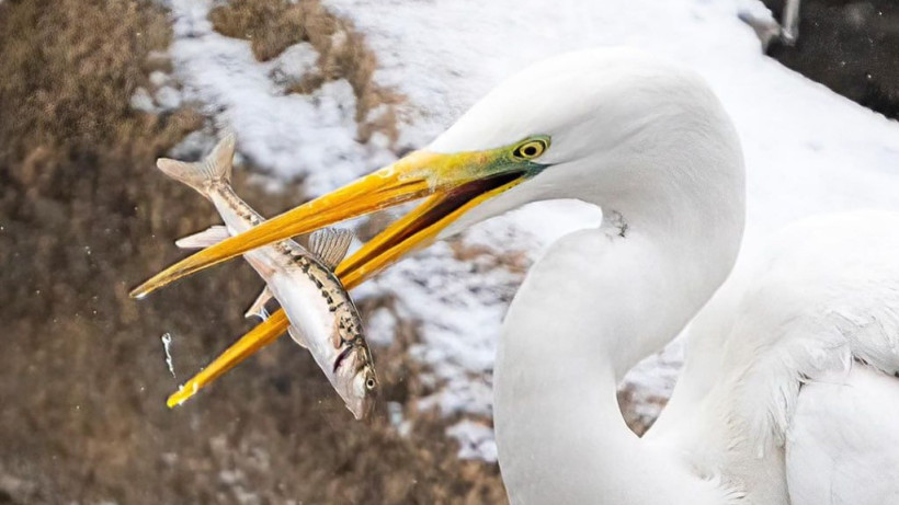  Фотограф Дмитрий Доценко 