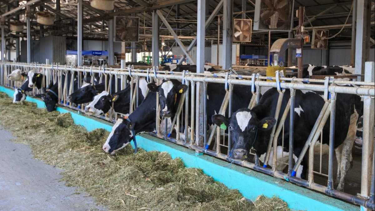  Жетісу облысының әкімдігі 