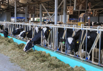 Жетісу облысында 5 млрд теңгеге жуық қаржыға 8 жоба іске қосылады