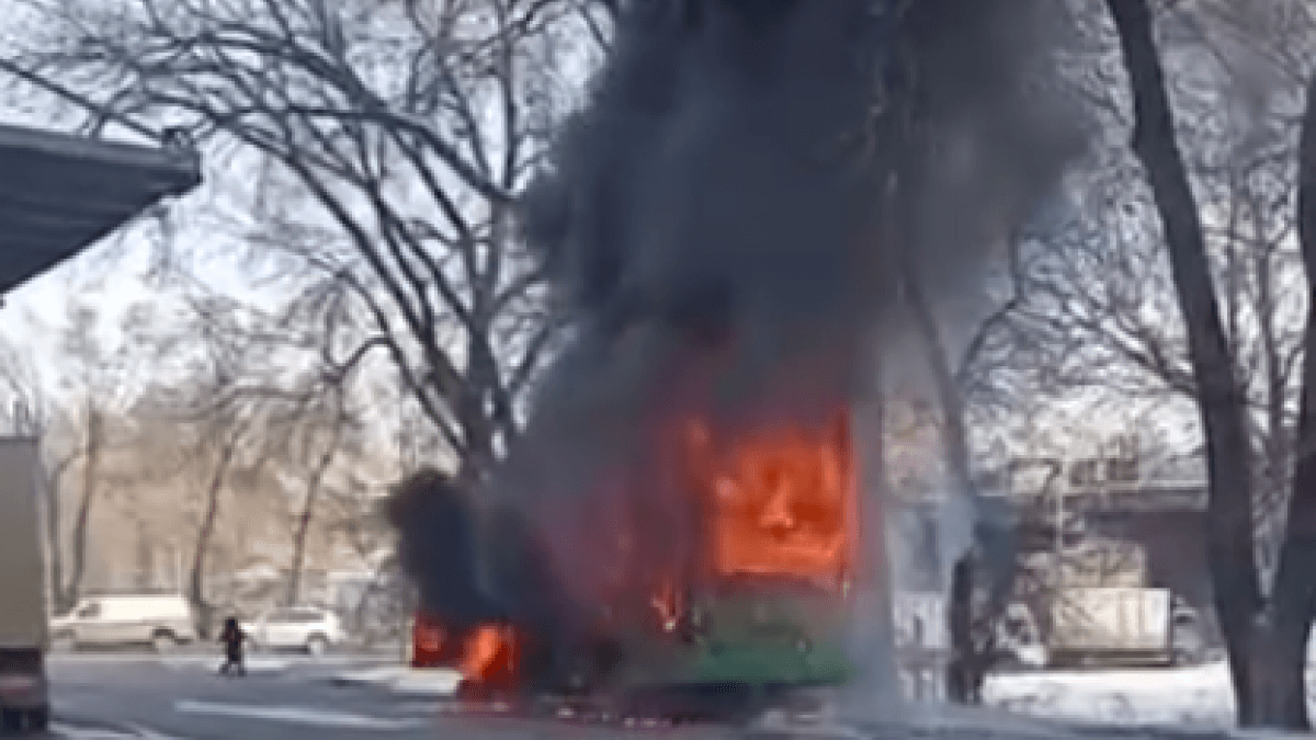  Видеодан алынған кадр 