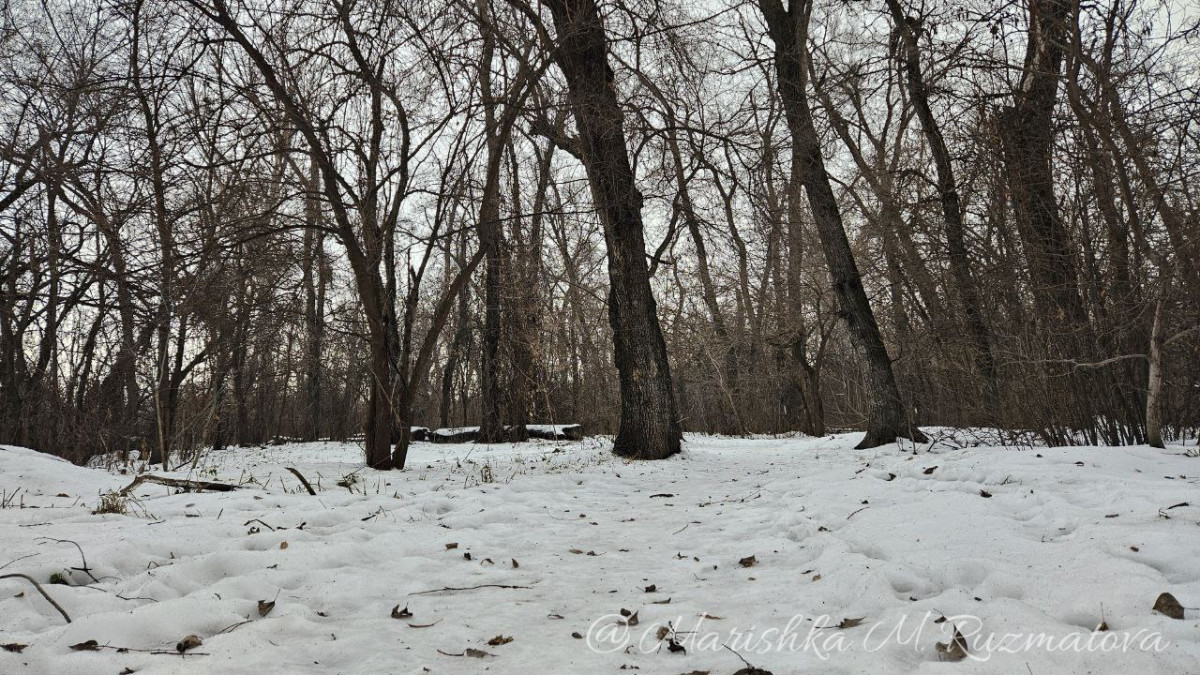  ©El.kz/Марина РУЗМАТОВА 