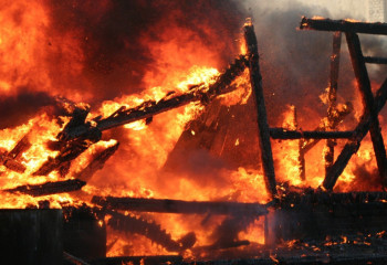 Қызылорда облысында ішінде 4 мың бөдене болған құс фабрикасы өртенді