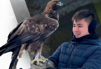 «4 баланың туған анасы табылды». Еуропалық қазақ бала Жәнібек Қазақстанға келді