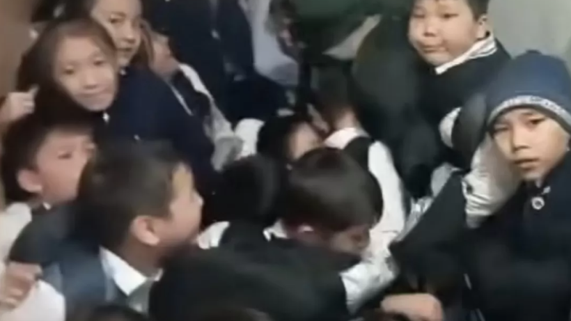  Видеодан кадр 