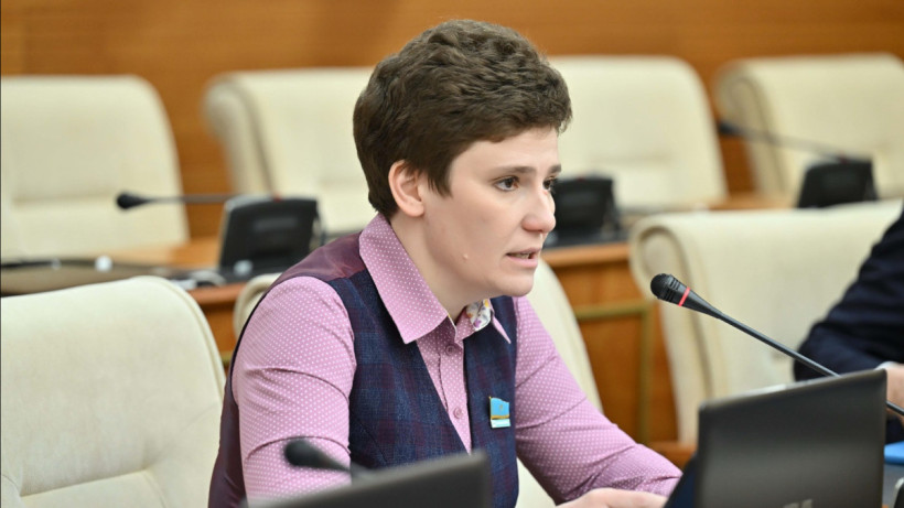  пресс-служба Мажилиса РК 