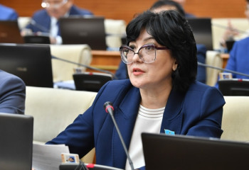 Депутат шала туған нәрестелерді оңалту мәселесін көтерді