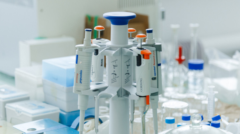  ©El.kz/Жалғасбек ТОҚТАМЫСОВ 