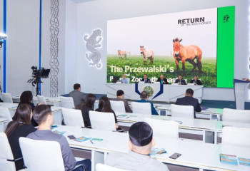 Керқұлан жылқысы қазақ жеріне оралады