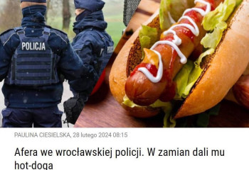 Украиналық хот-дог үшін 26 қылмысты өз мойнына алды