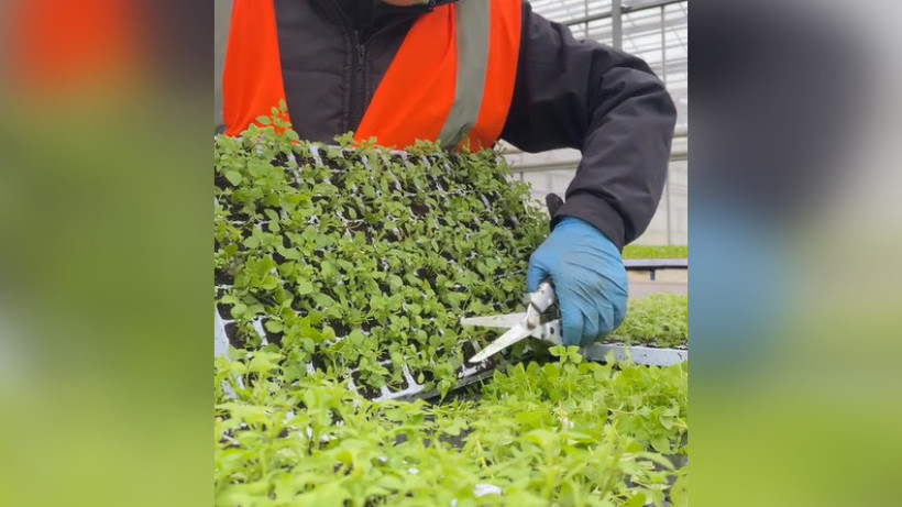  Кадр из видео 