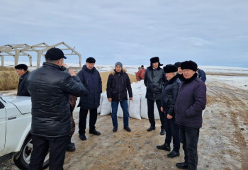 Представители МСХ РК выехали в районы Акмолинской области, где зафиксирован падеж лошадей