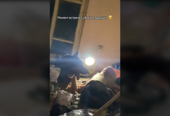 В Таразе дедушке в инвалидной коляске с собакой Хатико подарили жизнь в новом доме