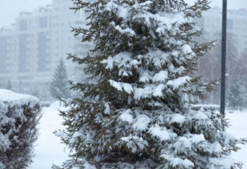 На большей части Казахстана объявлено штормовое предупреждение