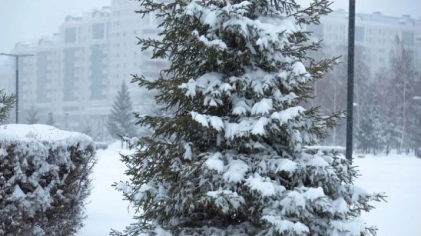  ©El.kz/Жалгасбек ТОКТАМЫСОВ 