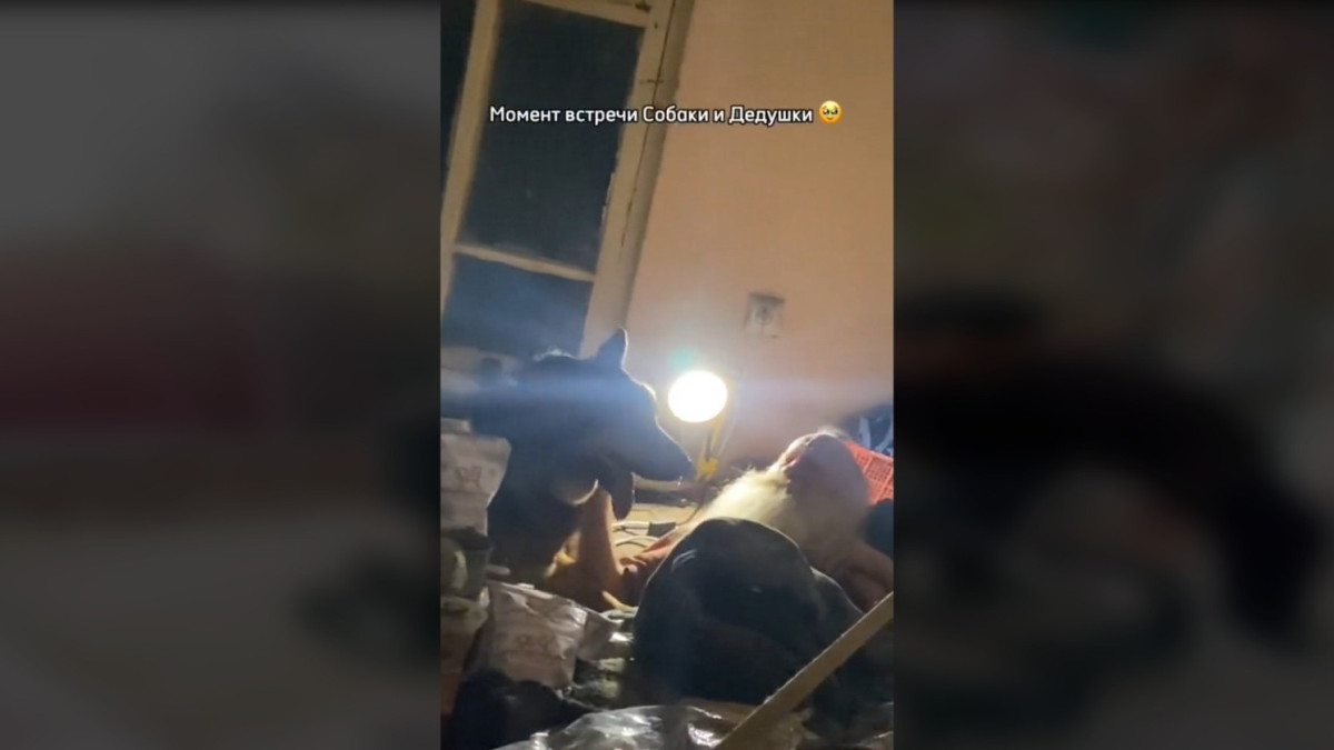  Кадр из видео 