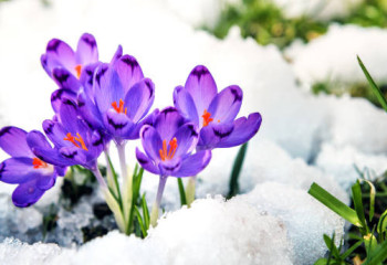 «Қар, боран, көктайғақ». Бүгін ауа райы қандай болады?