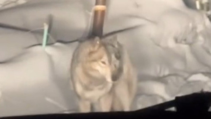  Кадр из видео 