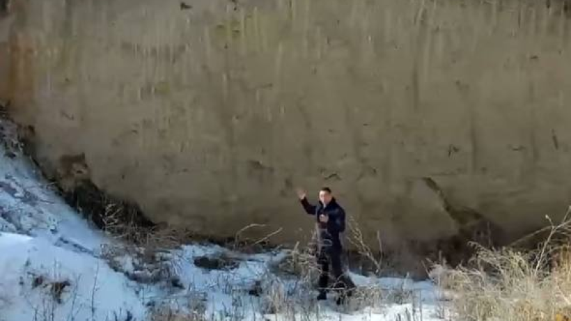  скриншот видео 