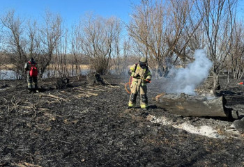 1000 гектаров тростника горит на побережье Каспийского моря