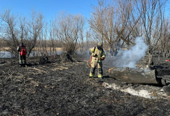 Атырау облысында өртенген қамыс аумағы 1 мың гектарға жетті