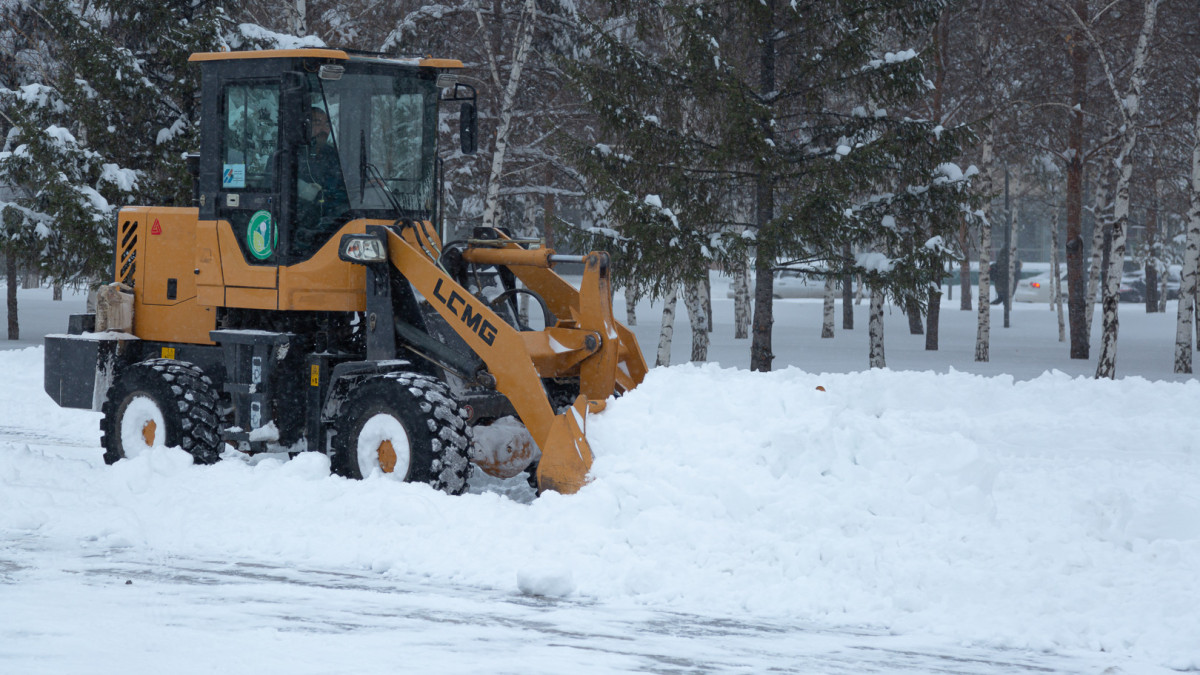  ©El.kz/Жалғасбек ТОҚТАМЫСОВ 