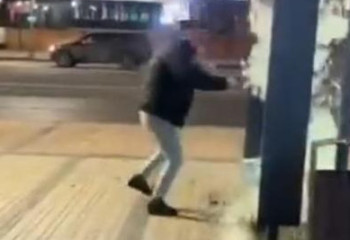 Астанада тағы бірнеше вандал жауапқа тартылды