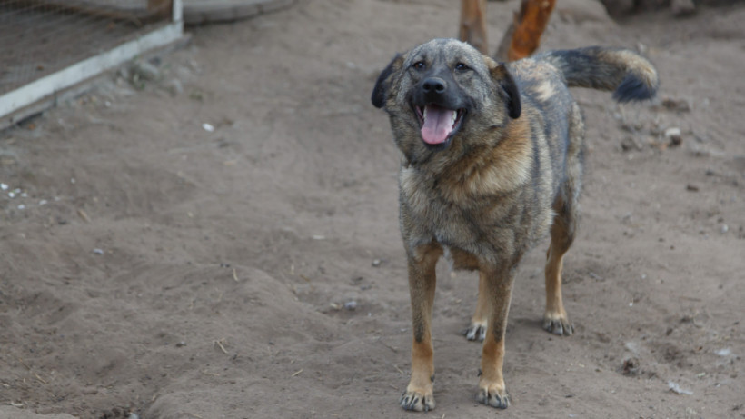  ©El.kz/Артем ЧУРСИНОВ 