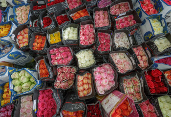 Дорогое 8 марта: цены на цветы выросли в Казахстане