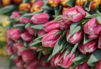 О чем она мечтает: опрос казахстанских женщин о желанных подарках на 8 марта