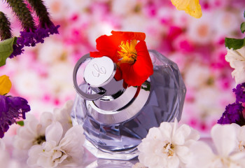 8 наурызға танымал сыйлықтар: әйелдер әдетте нені таңдайды