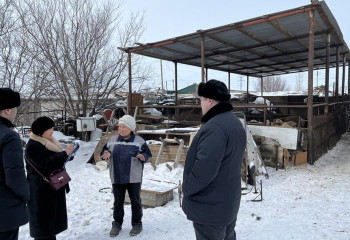Ұлттық статистика бюросы мал басы бойынша әкімшілік деректердің сәйкессіздігін анықтады