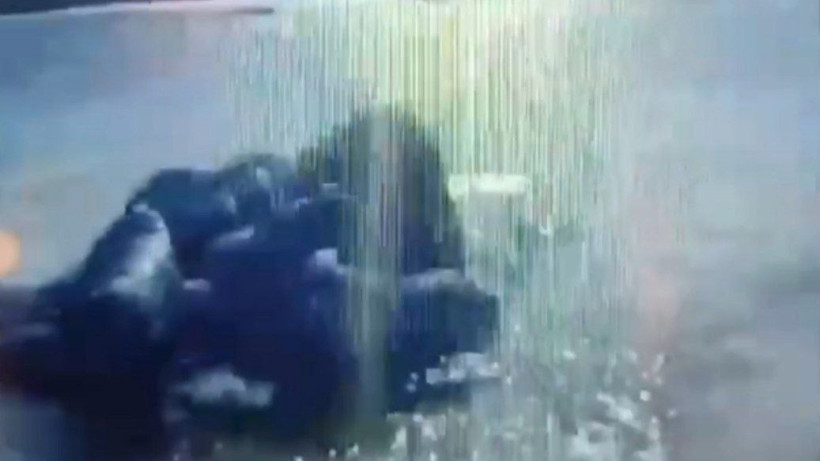  Видеодан кадр 