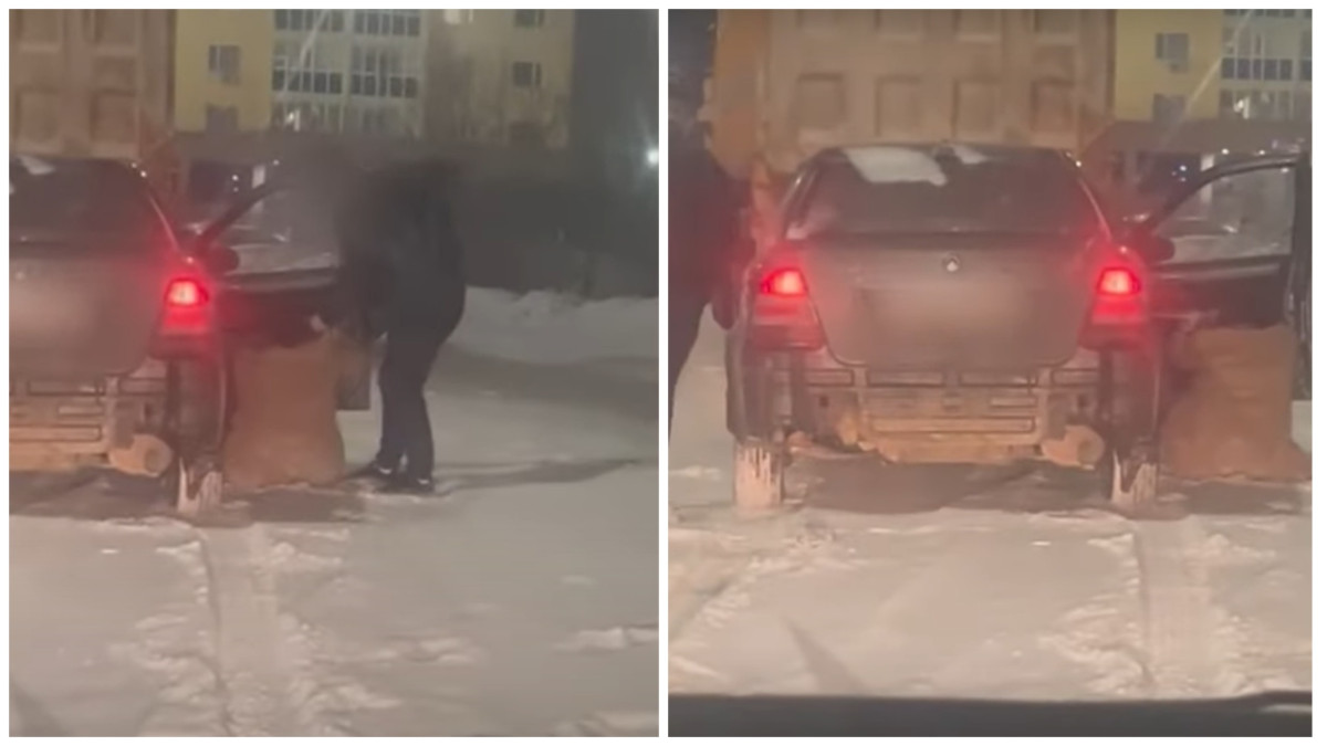  Видеодан кадр 