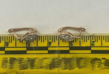 Арыс тұрғыны 8 айлық сәбидің құлағынан алтын сырғасын шешіп алған