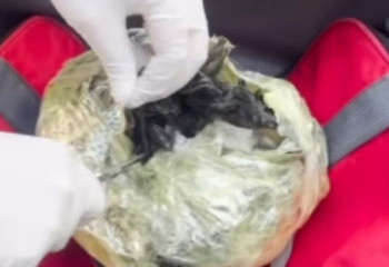 Такси көлігінен 30 млн теңге тұратын есірткі табылды