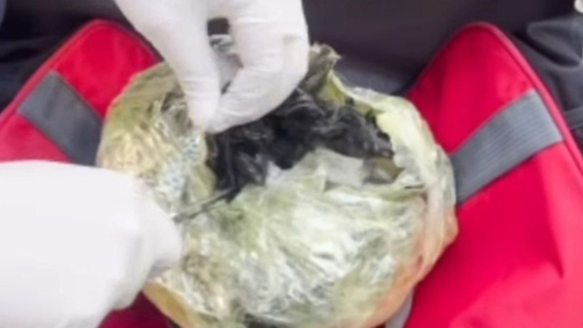  Видеодан кадр 