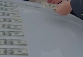 Шымкентте 84 мың АҚШ долларын қолдан жасаған 2 адам қамауға алынды