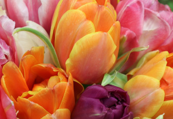 Астанада 8 наурыз күні қандай іс-шаралар өтеді