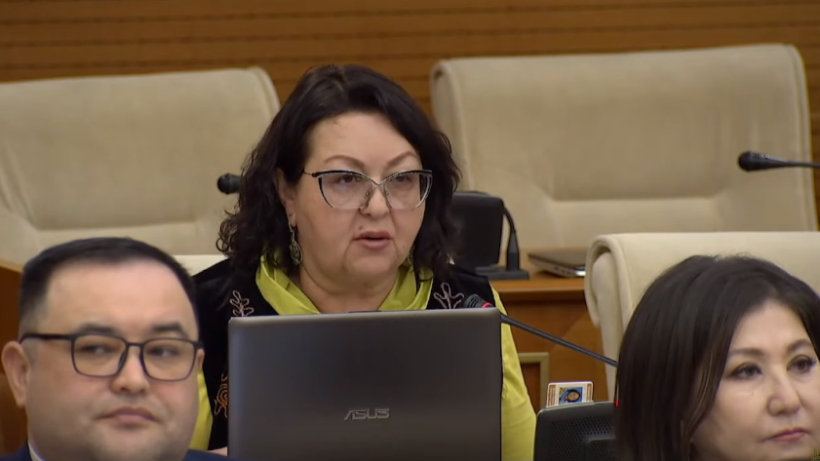  Кадр из видео/Мажилис РК 