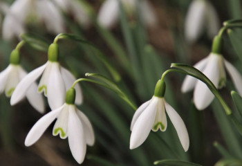 Алдағы күндері 20 градусқа дейін күн жылынады