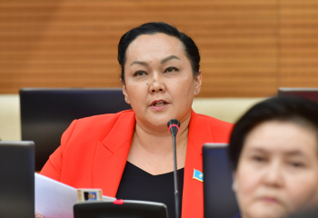 «Бос жатқан жер жау шақырады». Депутат Өзбекстаннан үлгі алуды ұсынды