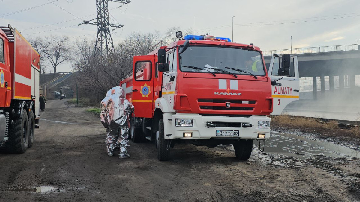 Пожилого мужчину вытащили из горящего в Алматы дома