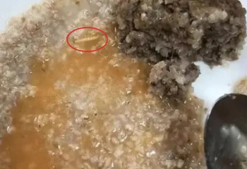 Павлодарда мектеп асханасындағы тамақтан құрт шықты