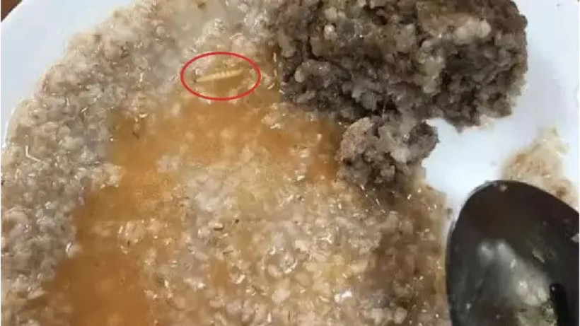  Алматы арнасы 