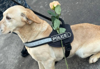 Пес-полицейский дарил девушкам цветы на 8 марта в Павлодаре
