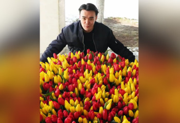 Блогер собрал букет из 1001 тюльпана для девушки