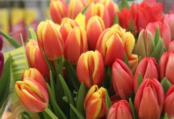 Қазақстанның су саласында қанша әйел жұмыс істейді